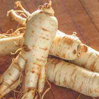 Ginseng - Supports Healthy Blood Glucose
