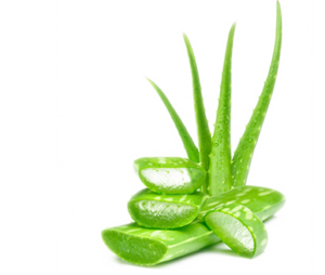 Aloe Vera leaf juice